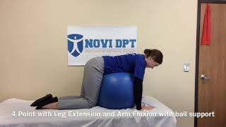 4 Point with Leg Extension and Arm Flexion with ball support