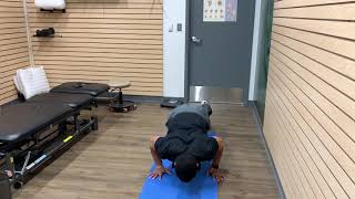 Burpee
