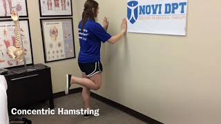 Concentric Hamstring Exercise