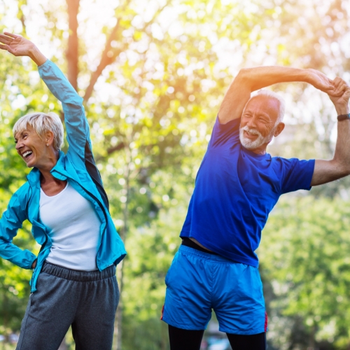 physical-therapy-clinic-therapeutic-exercise-novi-dpt-detroit-livonia-novi-mi