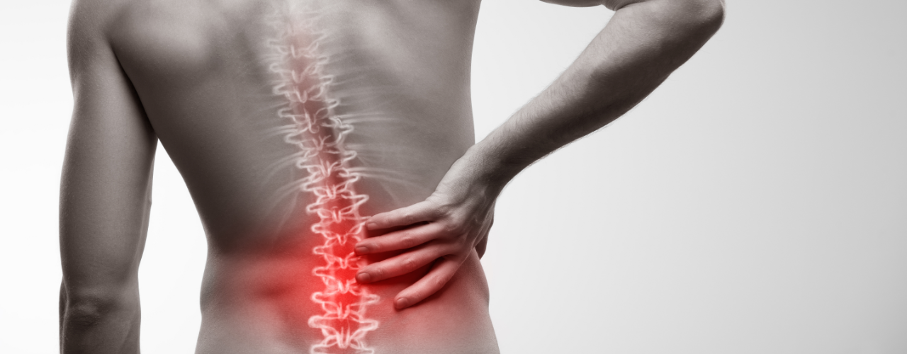 Physical-therapy-clinic-back-pain-relief-novi-dpt-detroit-livonia-novi-mi
